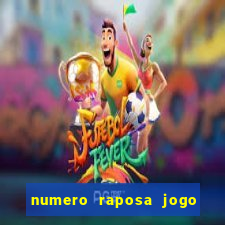 numero raposa jogo do bicho